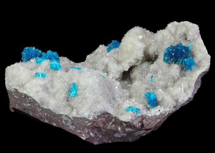 Vibrant Blue Cavansite Clusters on Stilbite - India #64802